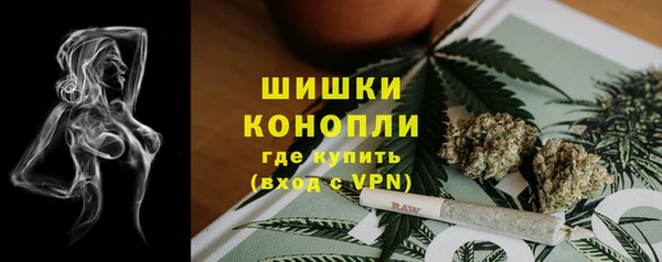 амф Аркадак