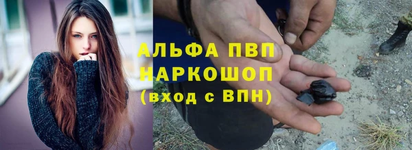 амф Аркадак